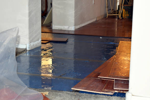 Professional Burst Pipe Water Damage technician working in Bunceton, MO